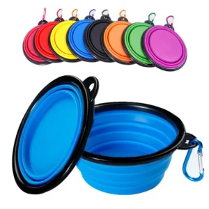 pet bowl
