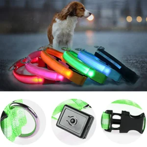glow in the dark