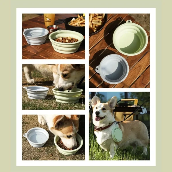 2pcs Collapsible Pet Silicone Dog Food Water Bowl Outdoor Camping Travel Portable Folding Supplies Dishes with Carabiner - Image 4