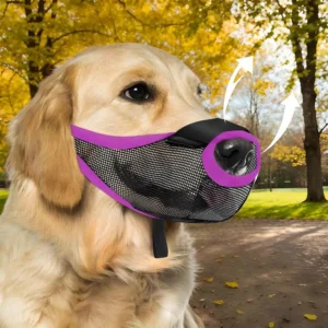 muzzle basket mesh