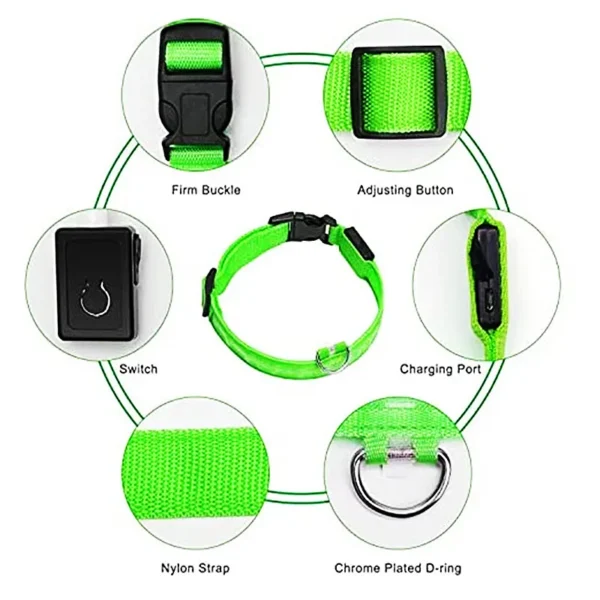 Usb Charging Glowing Dog Collar With Pendant Detachable - Image 6