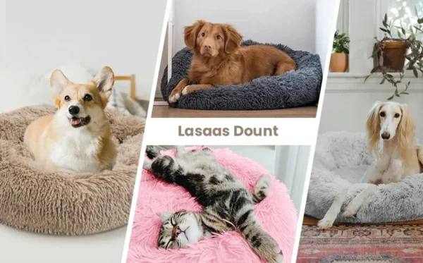 Washable Pet Bed for Small Medium Large Dog