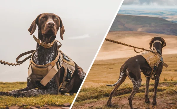 Tactical Military Vest Pet Training Dog Harness and Leash Set For All Breeds Dogs